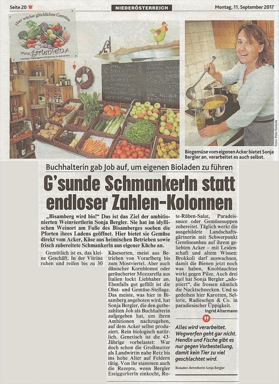 Kronenzeitung 2017_09_11_ganze Seite_blog 924x1271