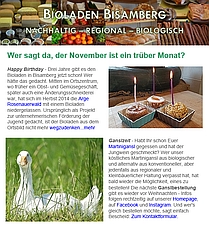 Newsletter November 2017 cut screenshot 209x235