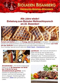 Newsletter Weihnachten 2017 Screenshot 209x289