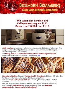 Newsletter Screenshot Dezember 2018 209x286