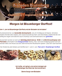 Newsletter Screenshot Dorffest 2019 209x256