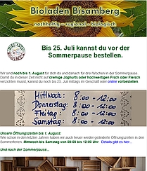 Newsletter Screenshot Sommer 2020 209x244